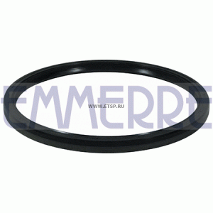 Сальник Iveco 180*200*12 101506 EMMERRE
