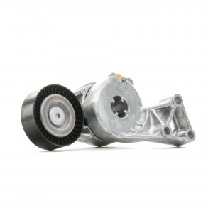 Ролик приводного ремня VW Bora,Golf,Passat,Sharan,T5 AUDI A3,TT натяжителя (с де 533 0076 30 INA