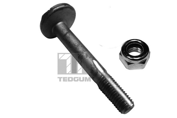 Болт регулировки развала кол 00228329 TEDGUM