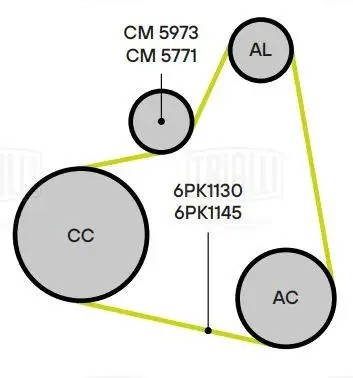 Натяжитель ремня приводного Toyota RAV4 CM 5771 TRIALLI