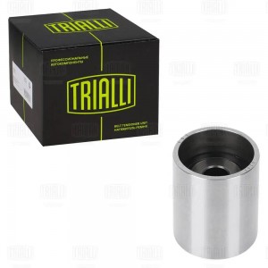 Ролик ГРМ VW Tiguan (07-) 2.0d (опор.) d28.3 (CM 6242) CM 6242 TRIALLI