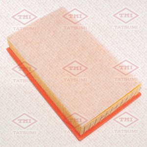 VW TRANSPORTER T5 (2003>) 312 x 189 x 68 TBC1197 TATSUMI