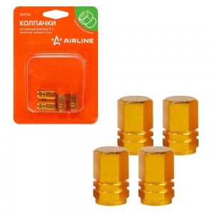 Колпачок камеры K-1 (золотые, металл) 4 шт. AVC10 AIRLINE