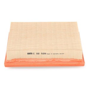 CHRYSLER CHRYSLER 300C (2004>) C22029 MANN FILTER