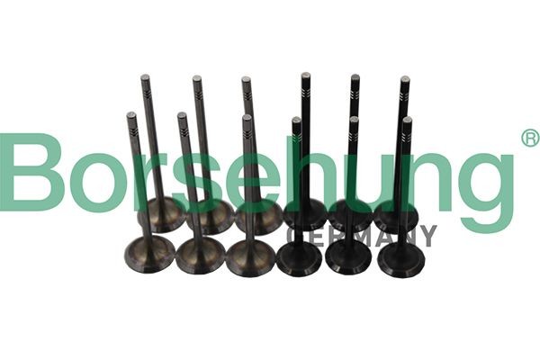 к-кт клапанов впускной/выпуск!\ Audi Q2 16>, VW Polo/Jetta 1.0/1.6 14> B19160 BORSEHUNG