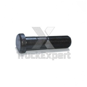 MB 10-15t M20X77/39X1,5, Шляпка, 35144002 TRUCKEXPERT