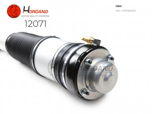 Пневматический амортизатор 12071 HORDANO