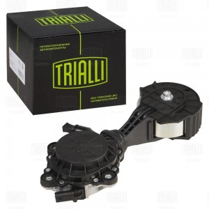 Ролик привод. ремня для а/м Peugeot 308 (07-) 1.4i/1.6i [EP] помпы (с натяж. мех CM5772 TRIALLI