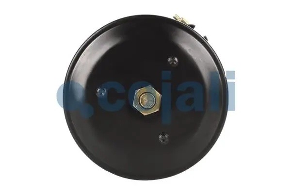 Энергоаккумулятор TYPE20/24 DAF/BPW/MB аналог Knorr BS9404 2351306 COJALI