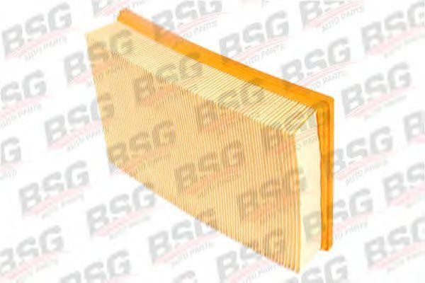 Фильтр воздушный FORD Transit (00-/06-/14-) BSG BSG30135004 BSG