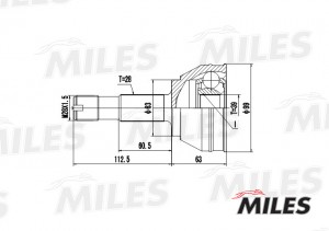 ШРУС наружный CITROEN JUMPER/FIAT DUCATO/PEUGEOT BOXER 1.9D-2.5TD 94-02 (GKN 303 GA20070 MILES