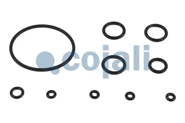 РМК модуля EBS Knorr 6014048 COJALI