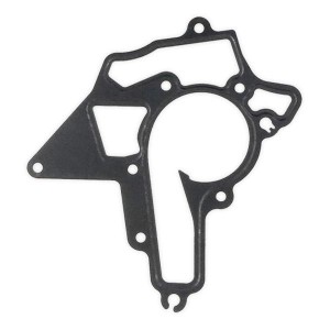 Прокладка помпы 70-36276-00 VICTOR REINZ