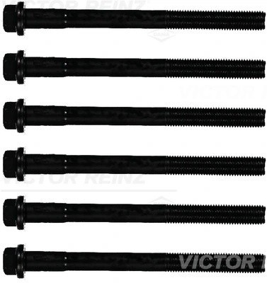 SCANIA 4-SERIE (1995-2005) m16*2*189 - (x6) 14-32285-01 VICTOR REINZ
