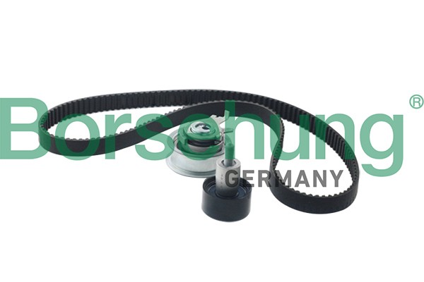 Комплект цепи ГРМ B10210 B10210 BORSEHUNG