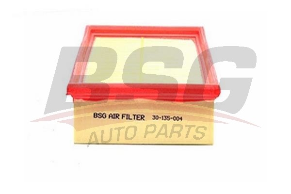 Фильтр воздушный FORD Transit (00-/06-/14-) BSG BSG30135004 BSG