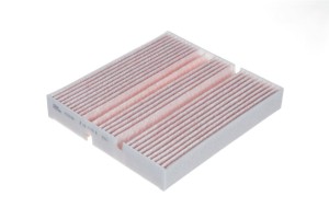 Фильтр воздушный салона MERCEDES A (W177) абсорбент цеолит RAF FILTER RTG011MB RAF FILTER