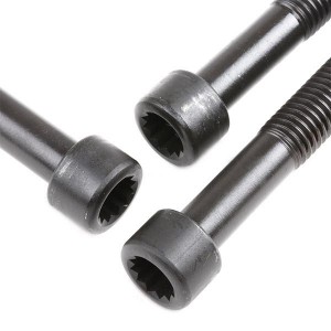 к-кт болтов ГБЦ! 10шт.\ Audi A3/A4/A6, VW Golf/Passat 1.9TDi 98> BK4365 BG AUTOMOTIVE