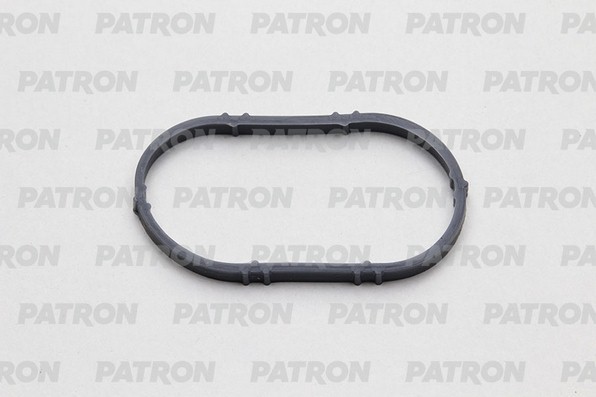 RENAULT CLIO/ ESPACE/ KANGOO/ LAGUNA PG51028 PATRON