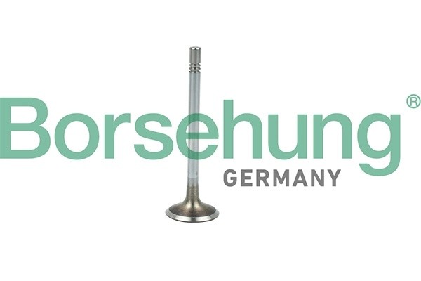 клапан впускной!\ VW T5 2.0 CAAA 09> B19021 BORSEHUNG