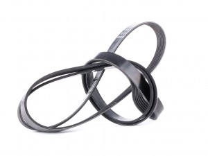 FORD EUROPA FOCUS I (1998-2004) 6PK2120 6PK2120 DAYCO