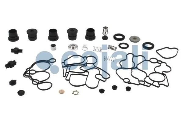 Р/к осушителя [прокладки+уплотнители+пружины] 6014229 COJALI