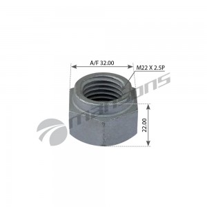 Гайка стремянки M22x2.5P H22  10шт 300.602 MANSONS