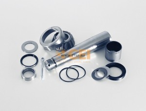 Р/к шкворня с подш. без масленок 36x50x250 198.569 CEI