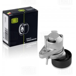 Ролик привод. ремня Renault Logan (04-) 1.4i/1.6i 8V с ГУР и AC (с натяж. мех.)  CMS 0908 TRIALLI