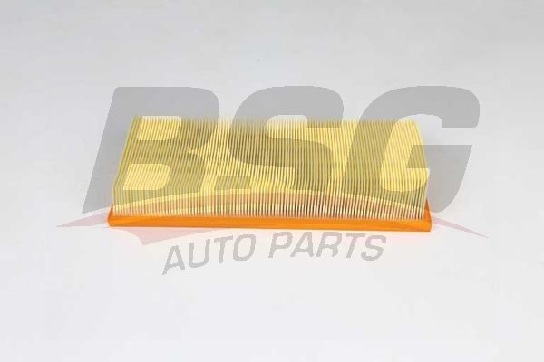 Фильтр воздушный LAND ROVER Range Rover (09-13) (5.0) BSG BSG 15-135-015 BSG