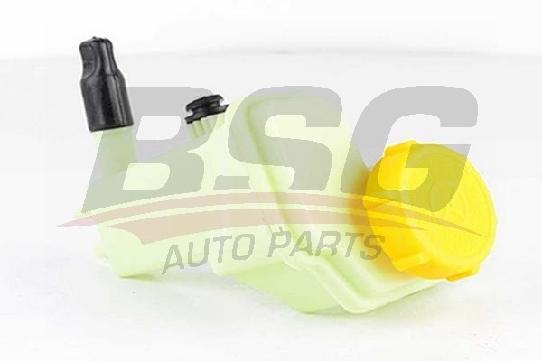 Бачок ГУРа FORD Fiesta,Fusion BSG BSG30371005 BSG
