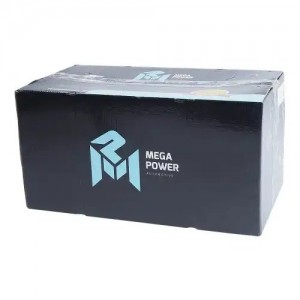 Энергоаккумулятор КАМАЗ-5490 24/24 MEGAPOWER 35026016 MEGA POWER