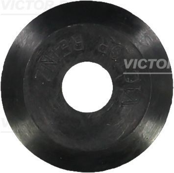 VOLVO 702505100 VICTOR REINZ
