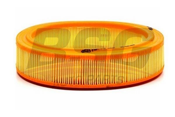 Фильтр воздушный FORD Capri BSG BSG30135022 BSG