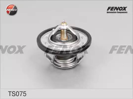 Термостат TS075 FENOX