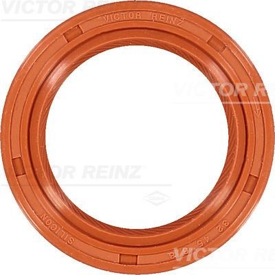 LAND ROVER FREELANDER (1998-2006) 813834300 VICTOR REINZ