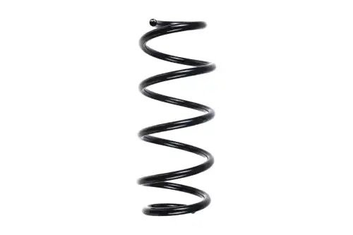 пружина задняя! 42 170 06 Renault Duster 1.2/1.6/1.5dCi 10> Z38157 ZENTPARTS