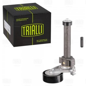 Ролик приводного ремня с натяжным механизмом CM5079 TRIALLI
