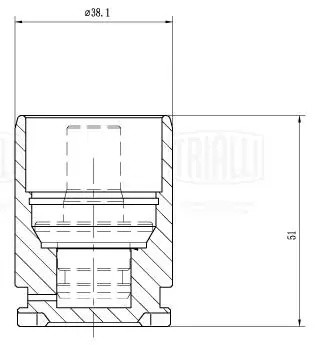 Поршень суппорта для а/м Nissan Almera N16 00- зад. d38мм RCF 032197P RCF032197P TRIALLI