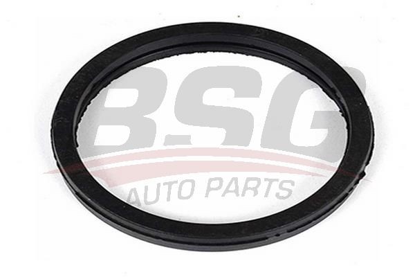 Прокладка FORD Mondeo (00-) (2.0/2.2 D),Transit (2.4 D) корпуса термостата BSG BSG 30-116-079 BSG