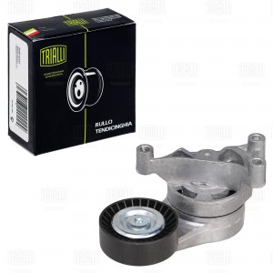 Ролик привод. ремня VW Golf V (03-) 2.0TFSi (с натяж. мех.) (CM 5438) CM 5438 TRIALLI