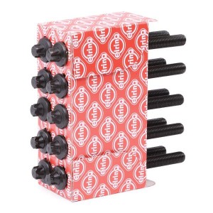 Болт RENAULT Clio,Logan (K4J/K4M) головки блока комплект ELRING 151.890 ELRING