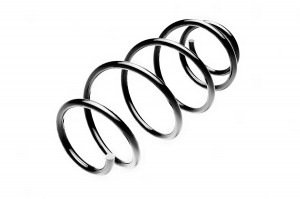 VW POLO (2001-2009) ST134079F STANDARD SPRINGS