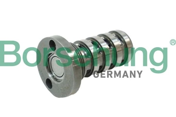 клапан изменения фаз ГРМ!\ VW Golf/Tiguan,Skoda Kodiaq/Octavia,Audi A3/A4/A5 1.8 B12123 BORSEHUNG