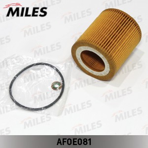 Фильтр масляный (вставка) BMW E90/E60/X5 (E70)/X6 (E71) 2.0-3.0 04- (FILTRON OE6 AFOE081 MILES
