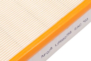 Фильтр воздушный LAND ROVER Range Rover Sport RAF FILTER AF038 RAF FILTER