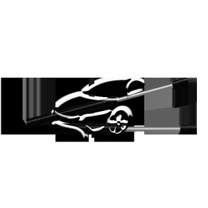 Амортизатор BMW 3 (E46) капота газовый BSG BSG 15-980-005 BSG