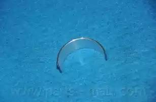 Подшипник HCJA-029A HCJA029A PMC PARTS MALL