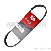 Поликлиновой ремень 5PK690 (8653-10031) 5-PK-690 GATES