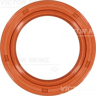 LAND ROVER FREELANDER (1998-2006) 813834300 VICTOR REINZ